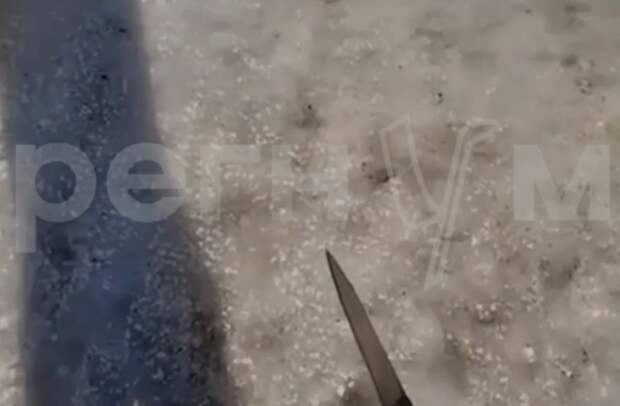 Школьница, пришедшая в школу с ножом, подражала подростку из Одинцово