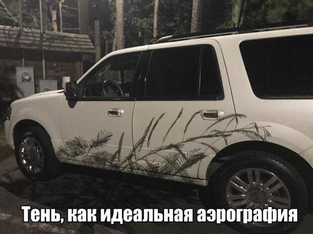 Свежие и веселые картинки с надписями для настроения (11 фото)