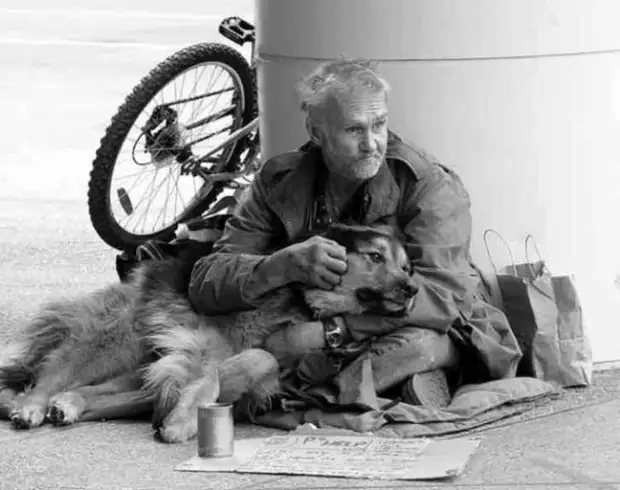 Трогательные истории дружбы бездомных и их питомцев