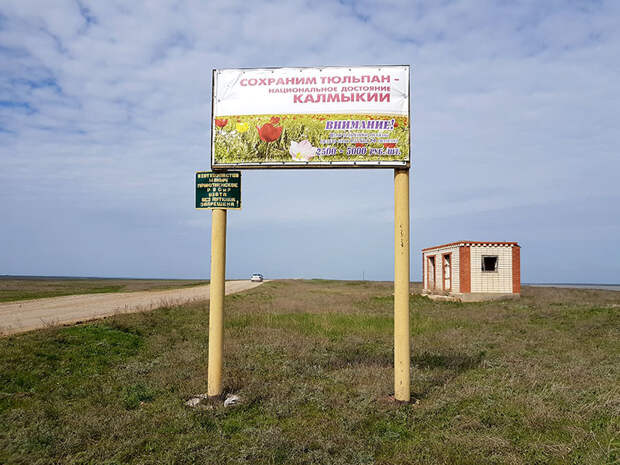 Калмыкия. Степной край, где живут очень красивые люди история, путешествия, фото
