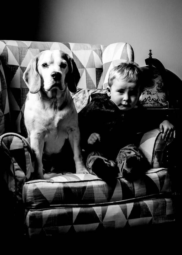 Февраль 2017 взросление, изменение, собака, собака - друг человека, фотограф, фотопроект
