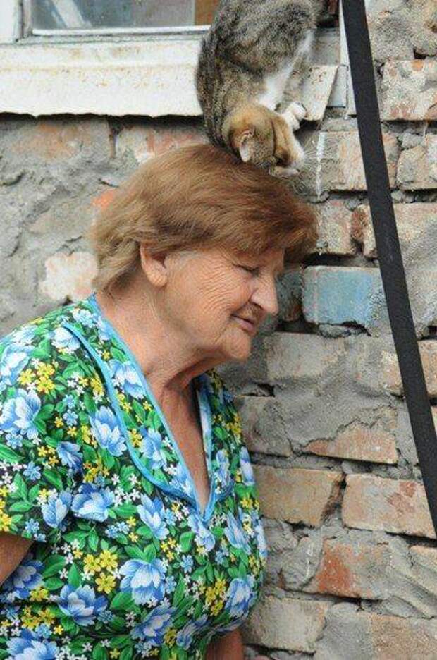 Больше, чем просто фотография