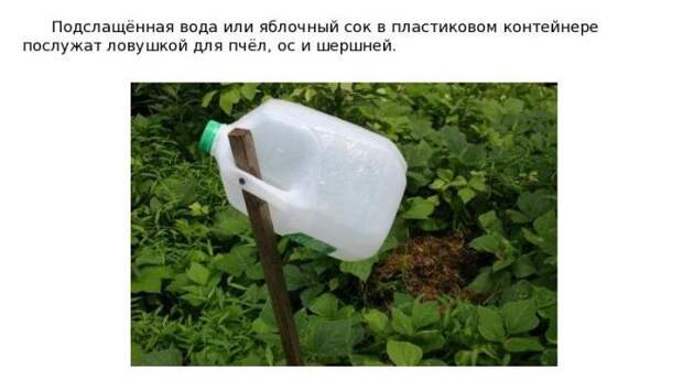 dacha_16 (700x390, 47Kb)