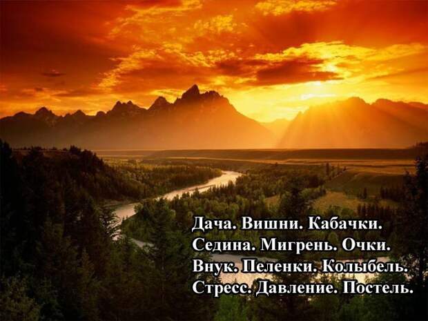 Вся наша жизнь в 100 словах