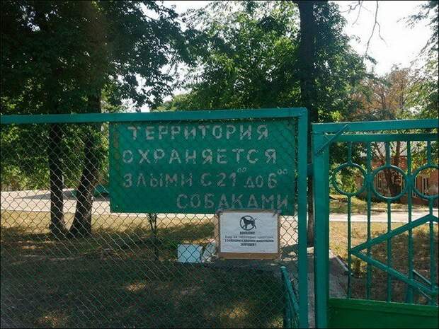 Маразм крепчал