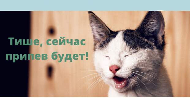 "Музыкальные мурашки" - что это?