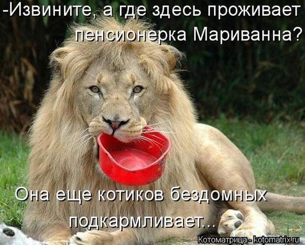 А где здесь проживает пенсионерка Мариванна?