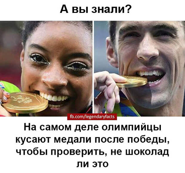 Внезапные факты, о которых вы раньше не задумывались
