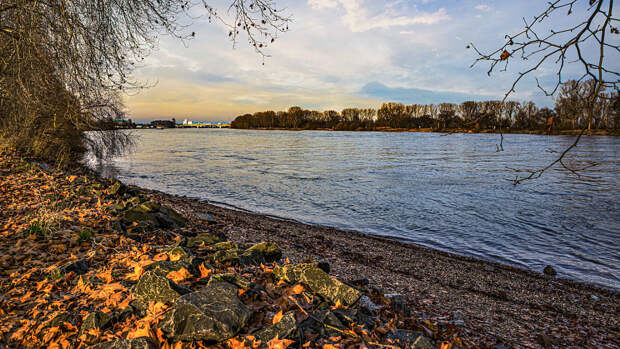 At the rhine during autumn  by 😉🙂 🇩🇪 Markus Dietz 🇪🇺😉🙂 on 500px.com