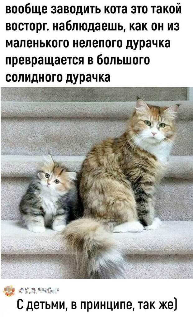 @psychology_funny #юмор #смешное #приколы