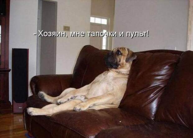 Продолжаем подготовку к Новому Году.