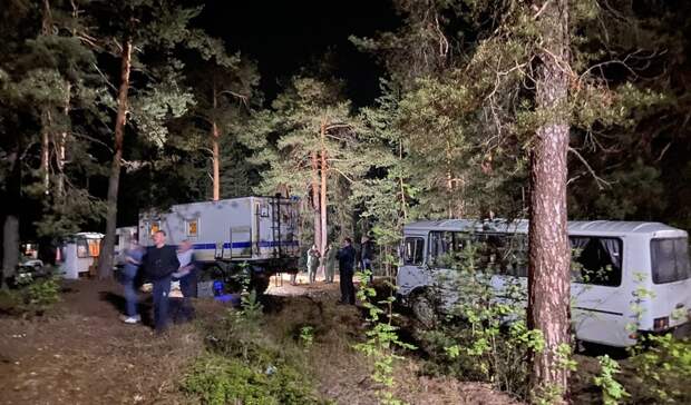 МВД подтвердило задержание подозреваемого в убийстве 12-летней школьницы под Балахной