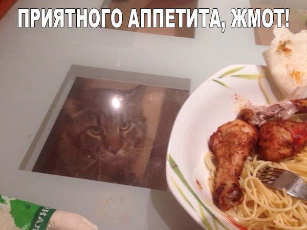 V_q8WJjdt1o