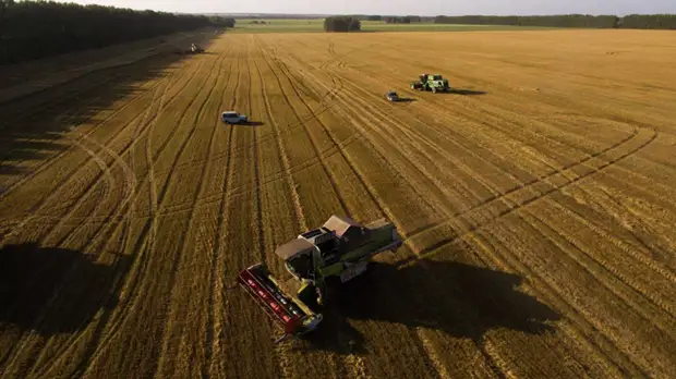 Участникам фестиваля «Сыр! Пир! Мир!» расскажут о мерах поддержки фермеров