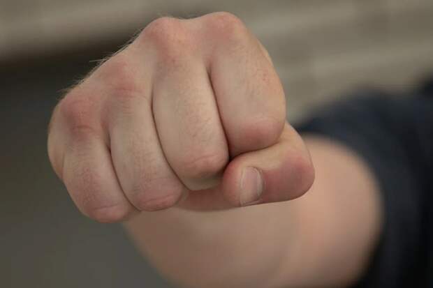 Житель Ефремова получил штраф за нападение на полицейских