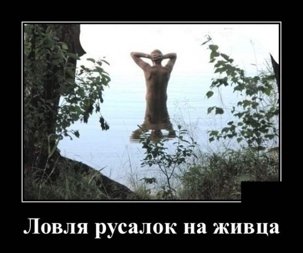 Демотиваторы - новые прикольные демки на сайте Юмор АФ