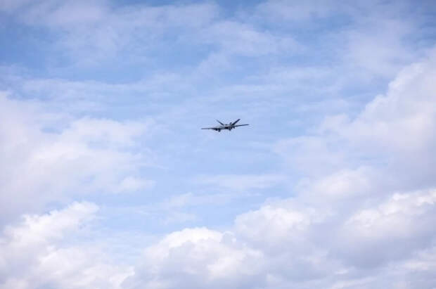 Науседа заявил о цели украинского беспилотника, упавшего в Литве