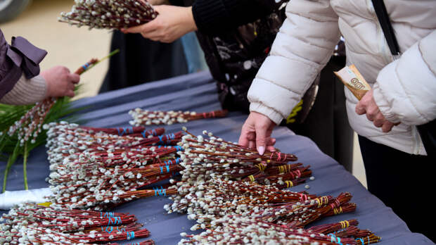 Новый тренд: россияне стали тратить вдвое больше денег на покупку веток