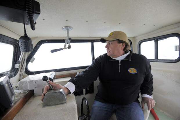 Выращивание устриц в США