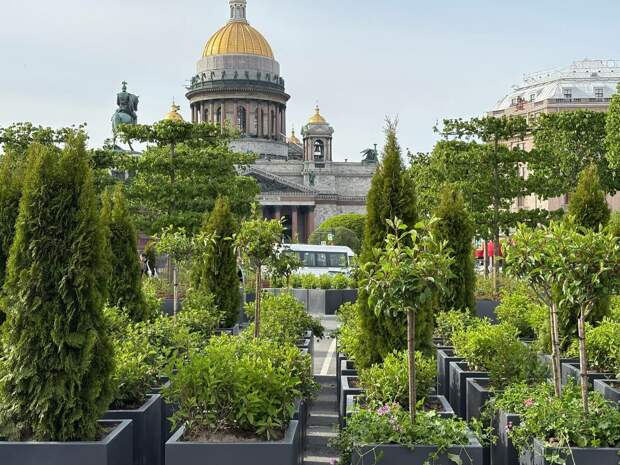 В Петербурге за сад-трансформер у парламента заплатят 90 млн