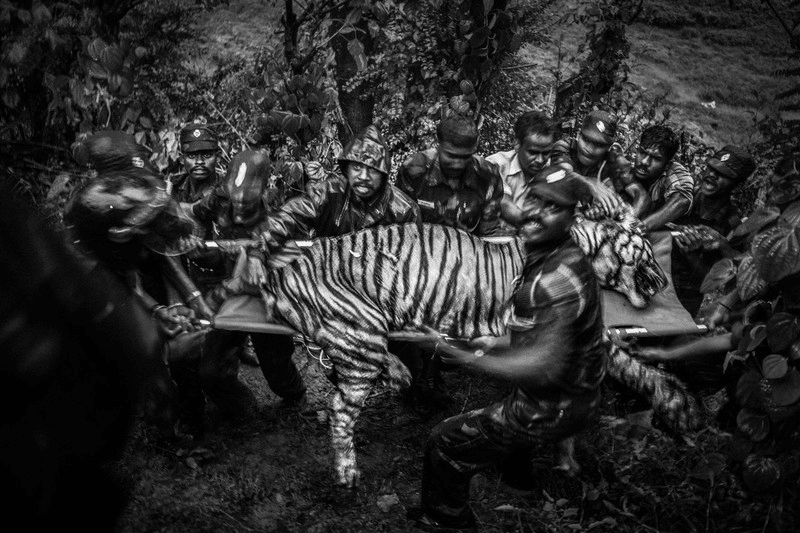 Фото © Senthil Kumaran