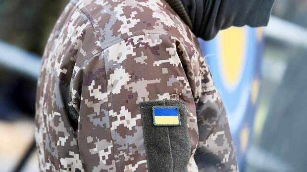 В Раде заявили, что Польша готовит отряды ВСУ из уехавших с Украины мужчин