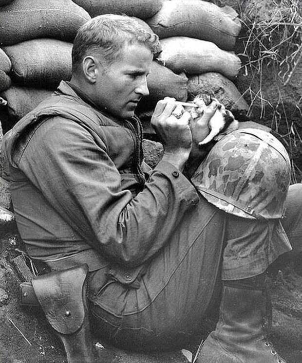 41 пример сохранения человечности перед лицом опасности humaneness19 41 пример сохранения человечности перед лицом опасности