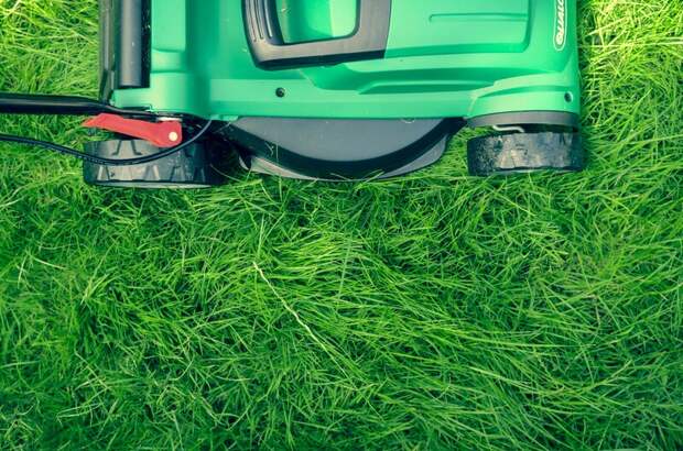 Шесть простых шагов, как сохранить газон зеленым и здоровым
