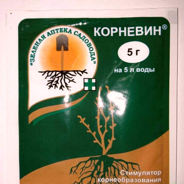 Советы по выращиванию рассады на балконе или подоконнике