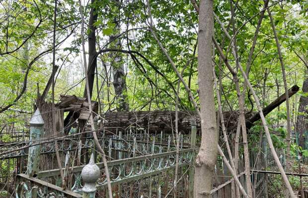 Спасское кладбище в Туле завалено старыми деревьями