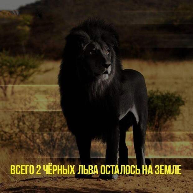 Обманывать нехорошо, но в интернете это норма