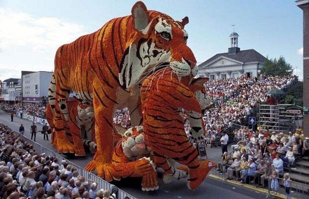 Невероятные цветочные скульптуры на параде Bloemencorso Zundert (12)
