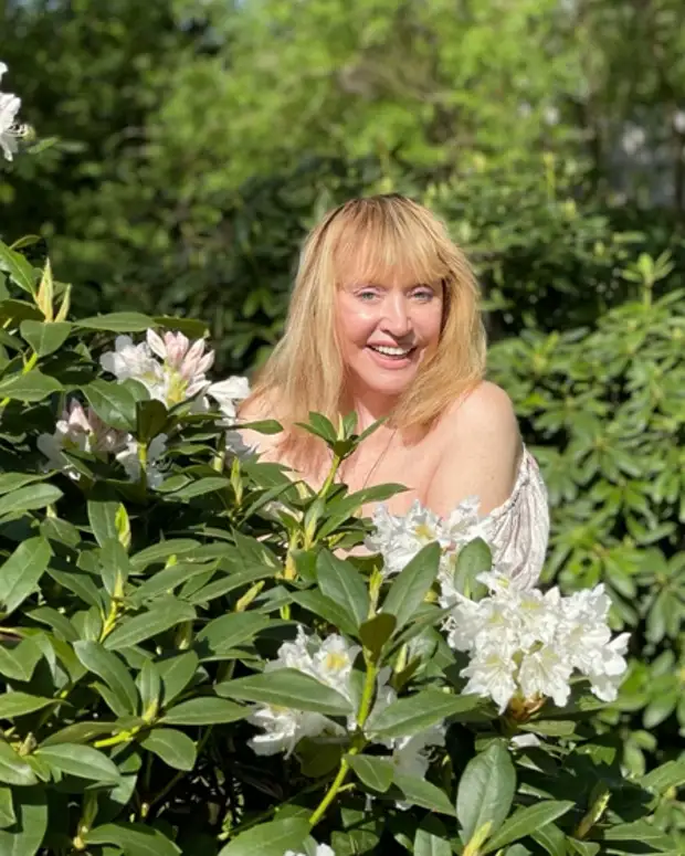 В сети обсуждают судьбу замка Галкина и Пугачевой в деревне Грязь