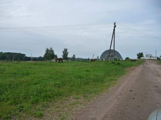 clip_image045