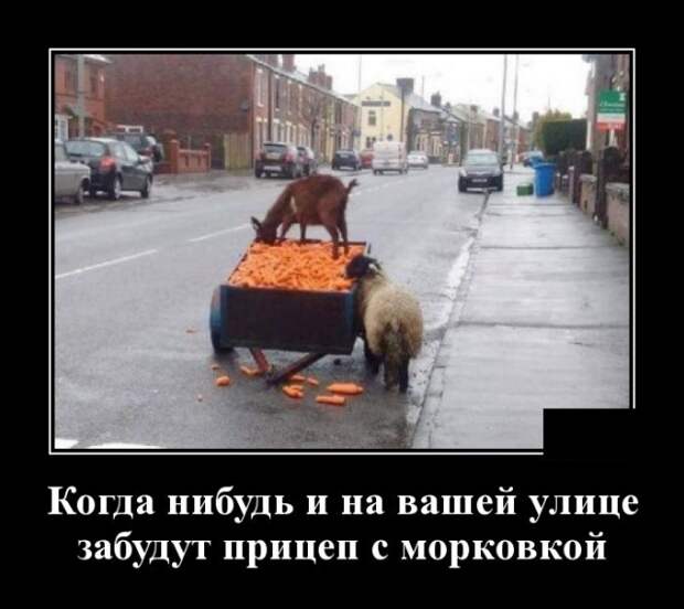 www.vsyako.net