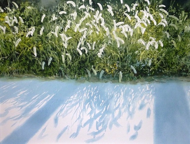 Рисунки акварелью. Abe Toshiyuki