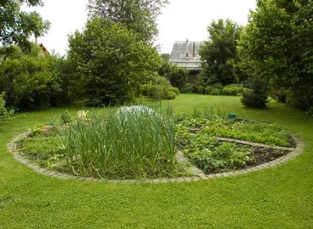 64592948_00028468 (492x360, 46Kb)