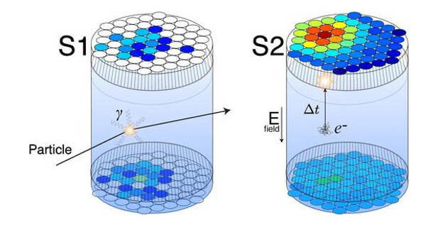 Принцип работы двухфазного ксенонового детектора темной материи