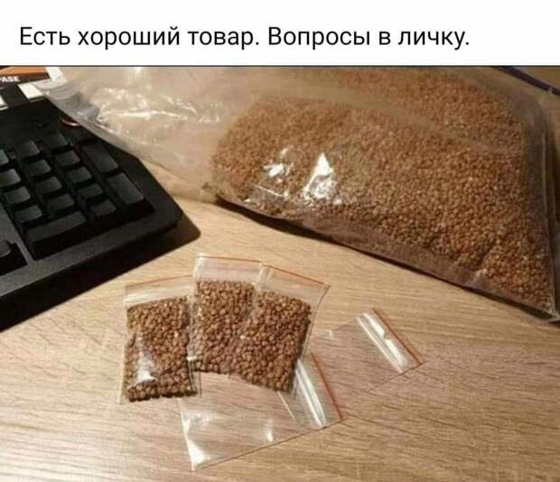 53 отчаянных мема про пандемию коронавируса и карантин