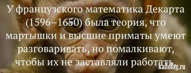 Шутки и прикольные истории (30 картинок) Шутки и прикольные истории (30 картинок)
