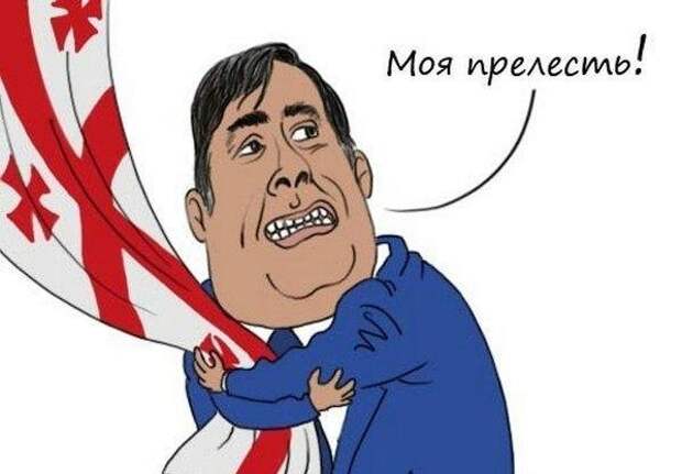 Саакашвили готовит смуту в Тбилиси с помощью своего однокурсника - Порошенко