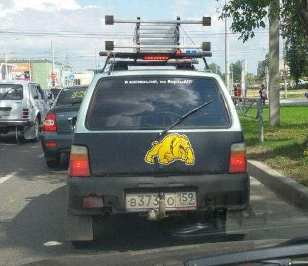 Забавные автоприколы
