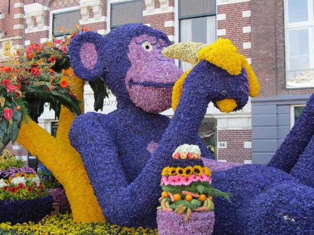NewPix. ru - Голландский фестиваль цветов Bloemencorso