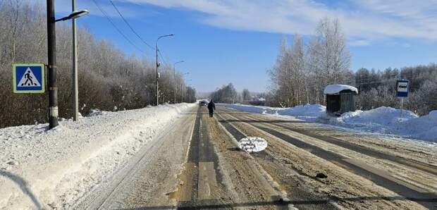 В Палехском районе водитель, насмерть сбивший пешехода, заключен под стражу