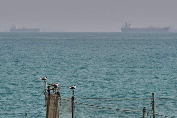 Трамп приказал ВМС США топить все суда, которые минируют Ормузский пролив