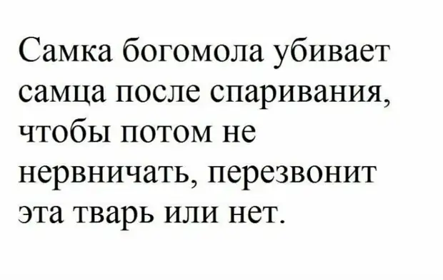 Самка богомола после спаривания поедает самца.