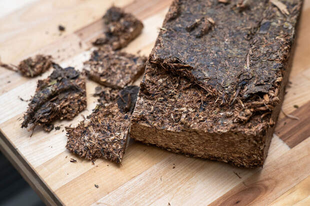 В Томске установили, что в чае из рододендрона содержится более 50 полезных веществ