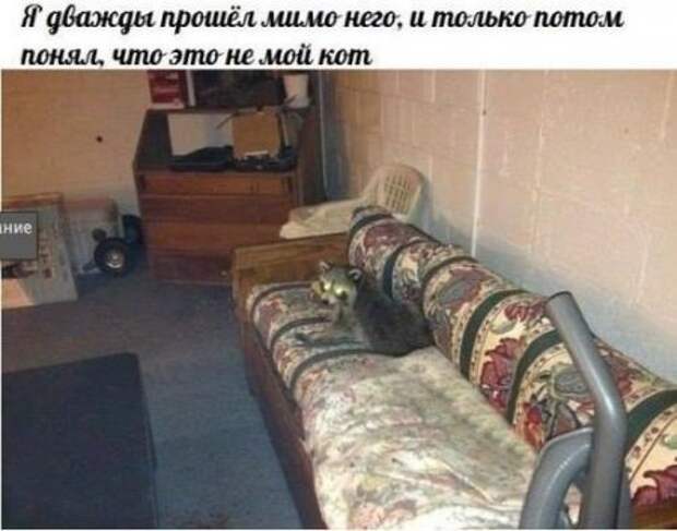 Для хорошего вторника приколы
