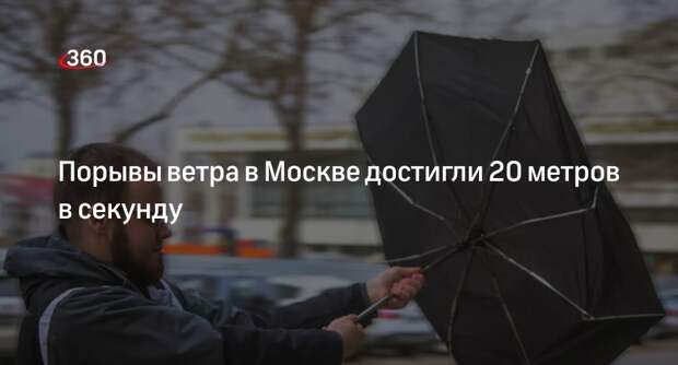 Комплекс горхозяйства Москвы: порывы ветра достигли 20 метров в секунду