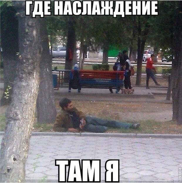 Прикольные картинки (131 фото) Прикольные картинки (131 фото)